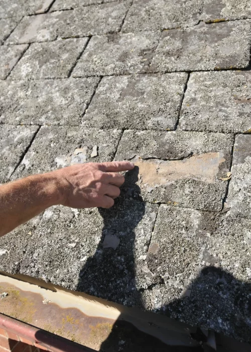 Roofing and Heritage Restoration